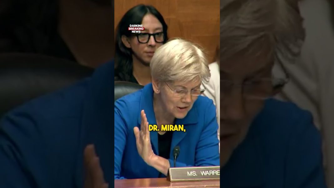 Elizabeth Warren GOES AFTER Stephen Miran over tariffs and inflation