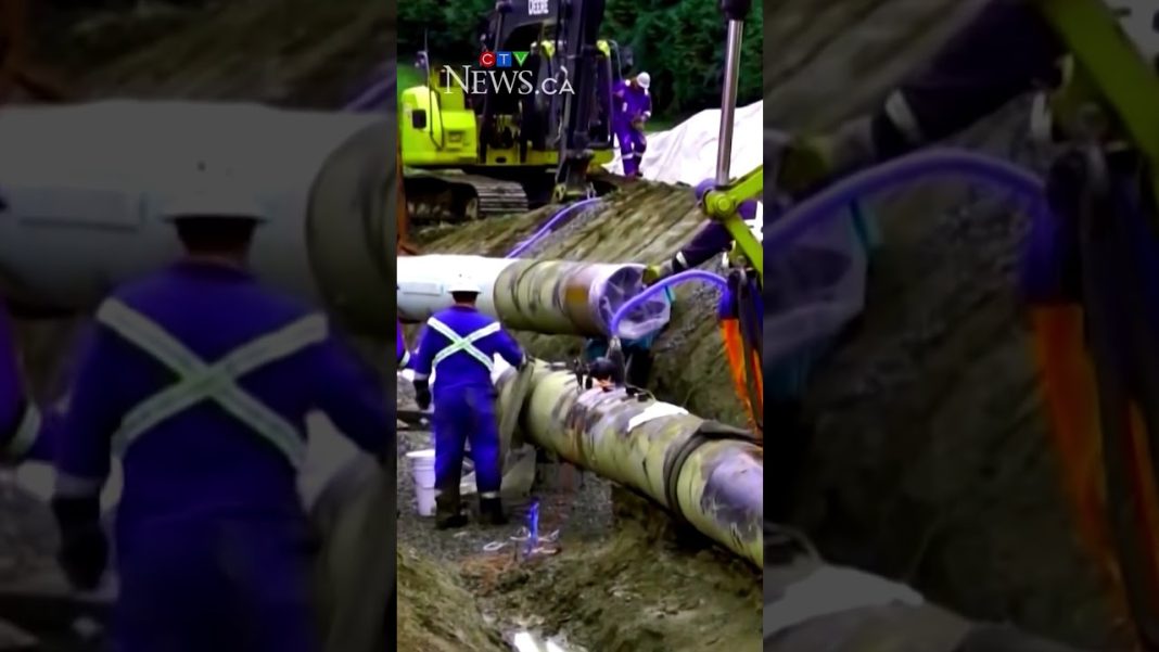 Alberta projects $6.5B deficit in 1st quarter economic update