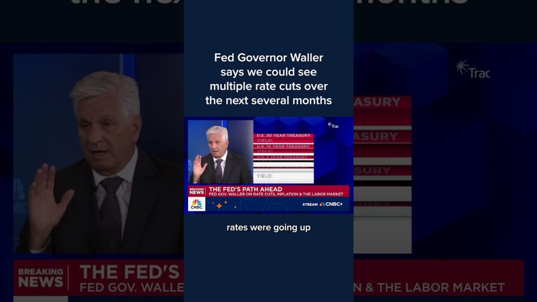 Fed Governor Waller says we could see multiple rate cuts over the next several months