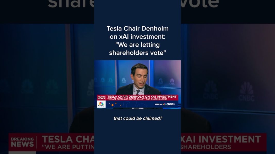 Tesla Chair Denholm on xAI investment: ‘We are letting shareholders vote’