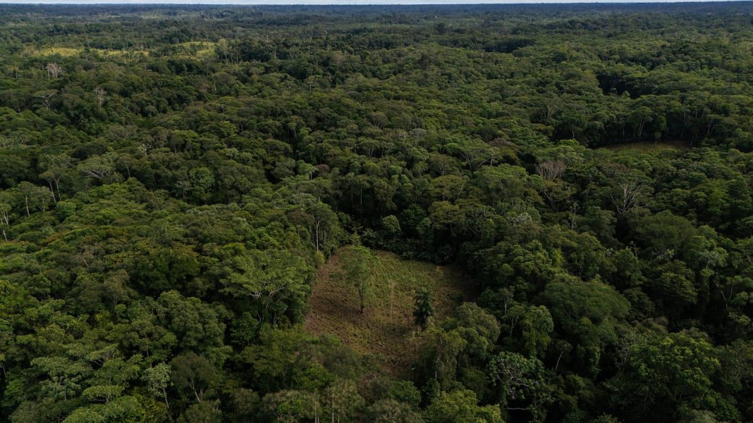 Colombia will use drones to destroy coca crops