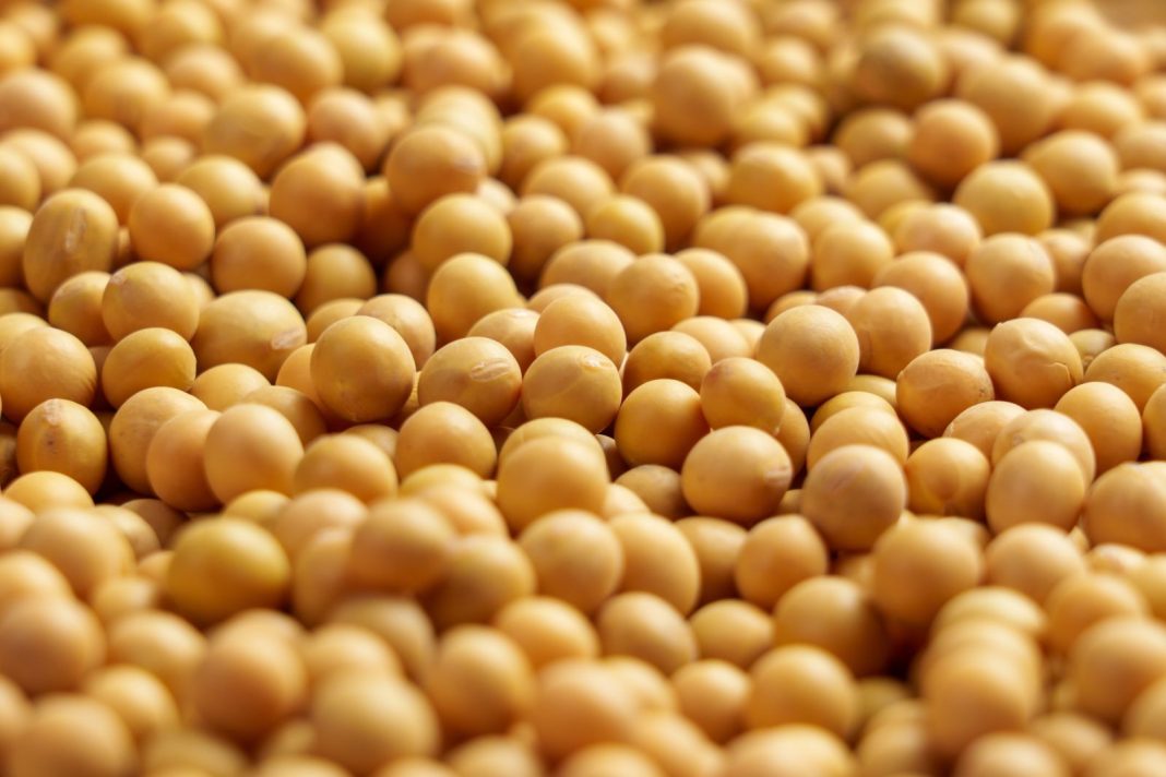 Soybeans Continuing Gains into Thursday’s Midday