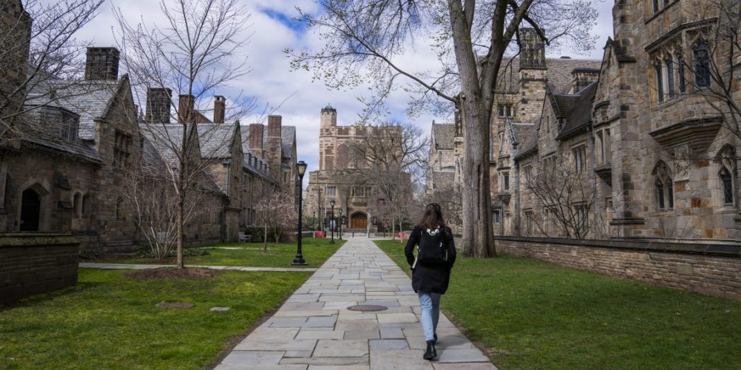 'The college grading system [is] almost meaningless': People see the Ivy League as an easy A
