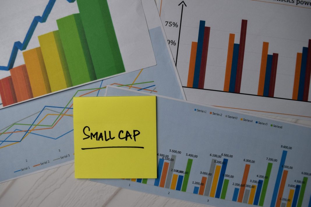 Northern Small Cap Value Fund Q1 2026 Commentary